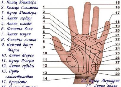 여성과 남성의 손바닥 위에 있는 아이들의 줄: 그것이 의미하는 바, 어느 손에 있는지 - 사진, 성적표