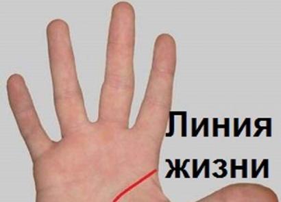 Palmistry with explanations, the meaning of lines for beginners