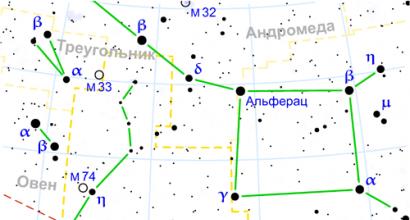 Созвездие рыбы на небе. Рыбы (созвездие). Сколько их всего